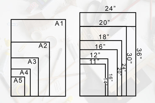 Acadia National Park Night Stars Wall Art Unframed Nature Illustration Scenic Travel Print Acadia National Park