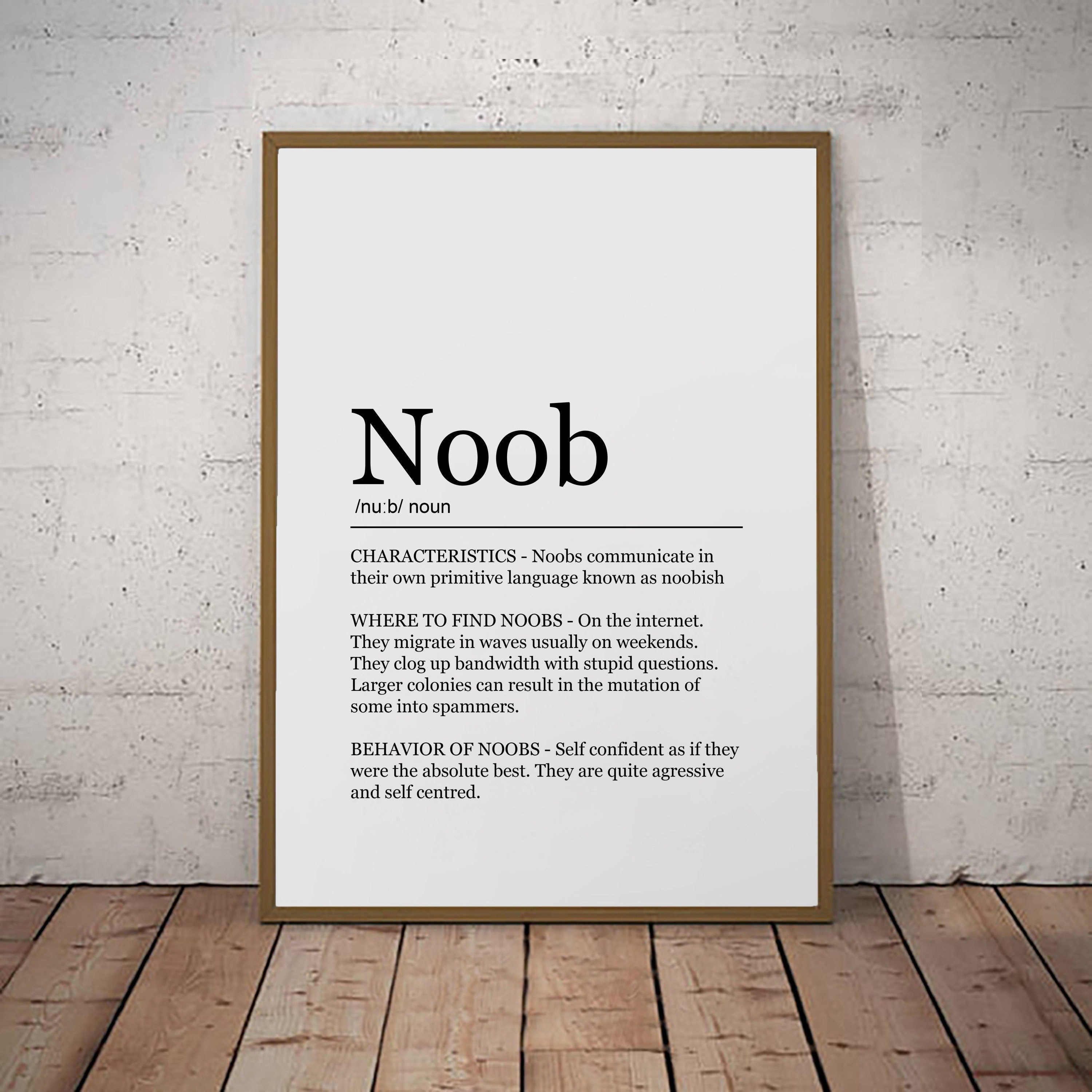 Noob Print Gaming Definition Poster Wall Art Minimalist Gift Print